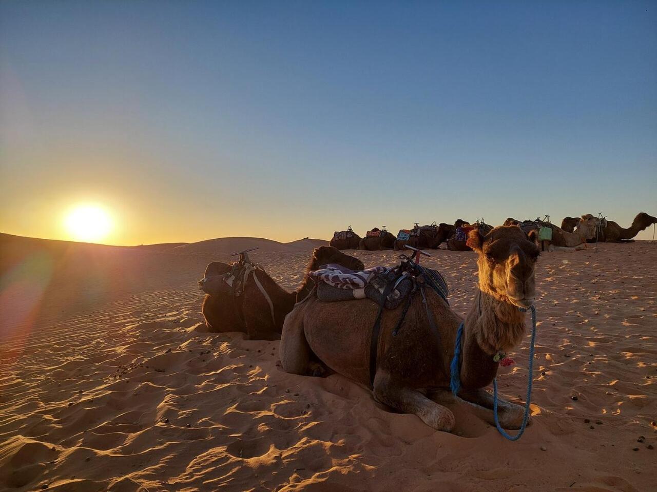Desert Experience Glamping Merzouga Exterior foto